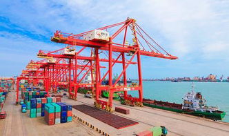 違反海關監(jiān)管規(guī)定將面臨哪些風險 企業(yè)管理咨詢